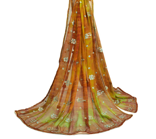 Sushila Vintage MultiColor Tie-Dye Dupatta Georgette Zari Embroidered Long Stole