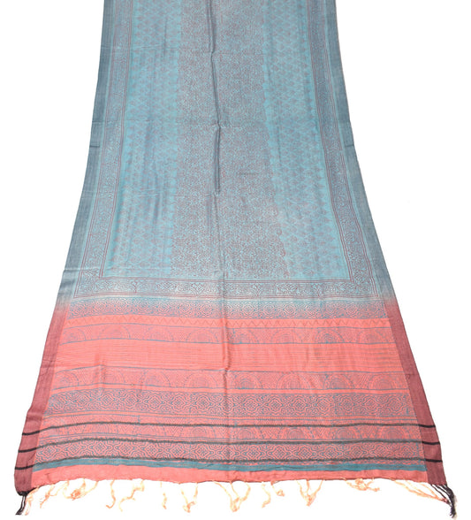 Sushila Vintage Pure Woolen Dupatta Sky Blue & Peach Hand Block Floral LongStole