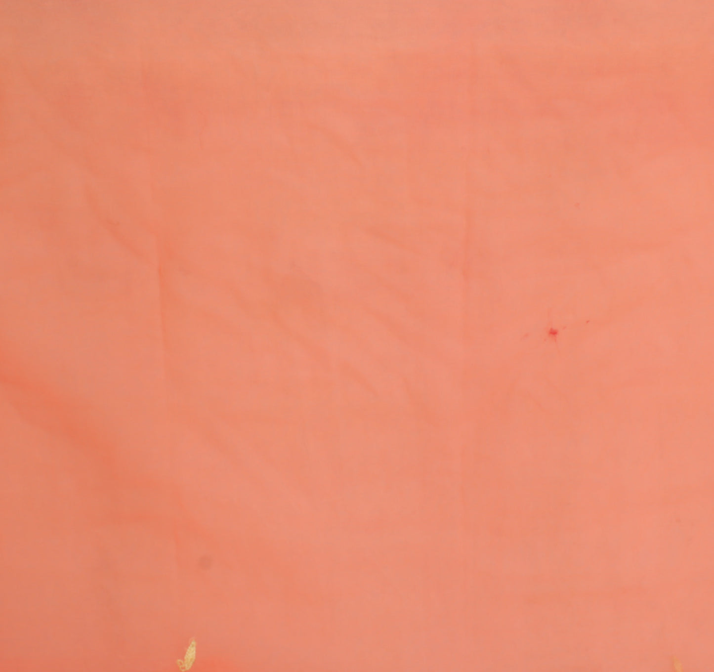Sushila Vintage Peach Sari Remnant Scrap Pure Georgette Embroidered Craft Fabric