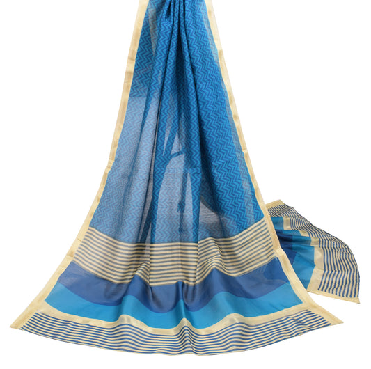 Sushila Vintage Blue Beige Dupatta Pure Cotton Silk Hand Block Long Stole Veil