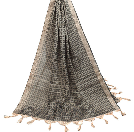 Sushila Vintage Black Dupatta Geometric Art Cotton Silk Woven Checks Long Stole
