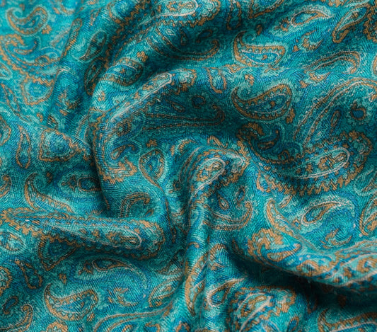 Sushila Vintage Aqua Blue Saree Soft Pure Woolen Paisley Printed 5YD Sari Fabric