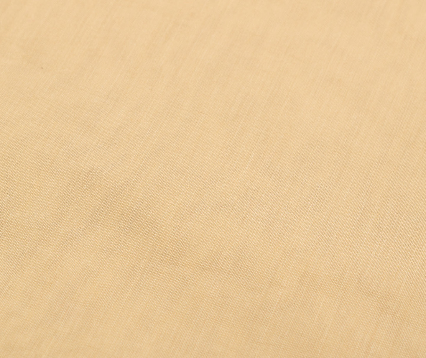 Sushila Vintage Cream Saree with Woven Border Pallu Pure Cotton 5 YD Sari Fabric