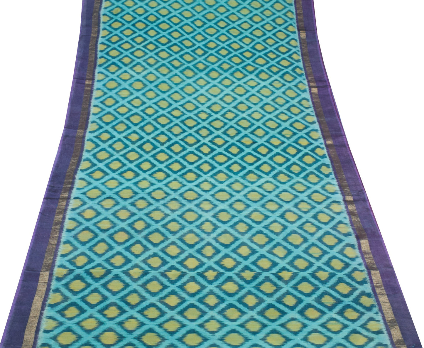 Sushila Vintage Sky Blue Saree Pure Cotton Silk Hand Woven Pochampally Ikat Sari