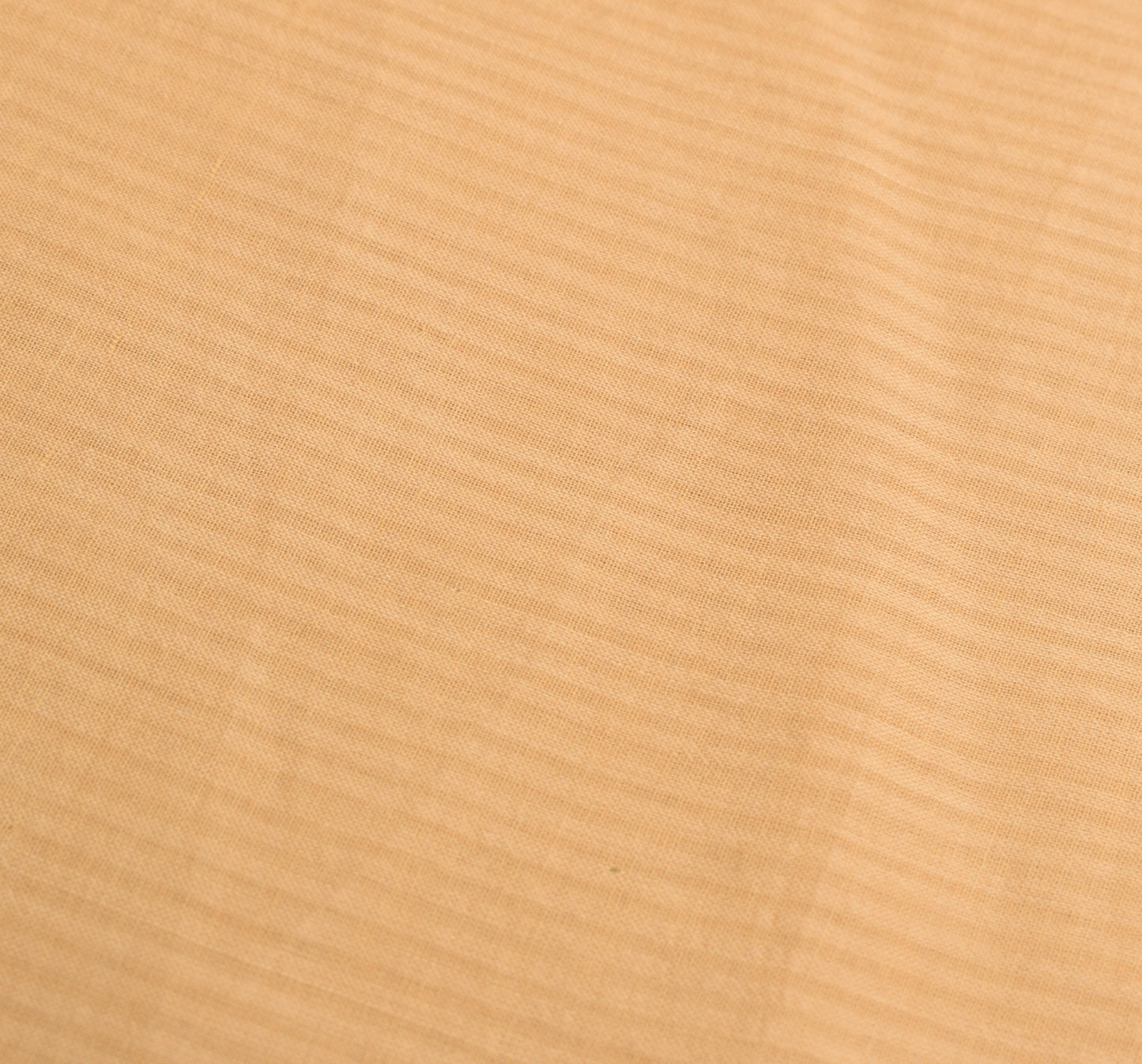 Sushila Vintage Beige Saree Rudraksh Border Pure Cotton Woven Soft  Sari Fabric