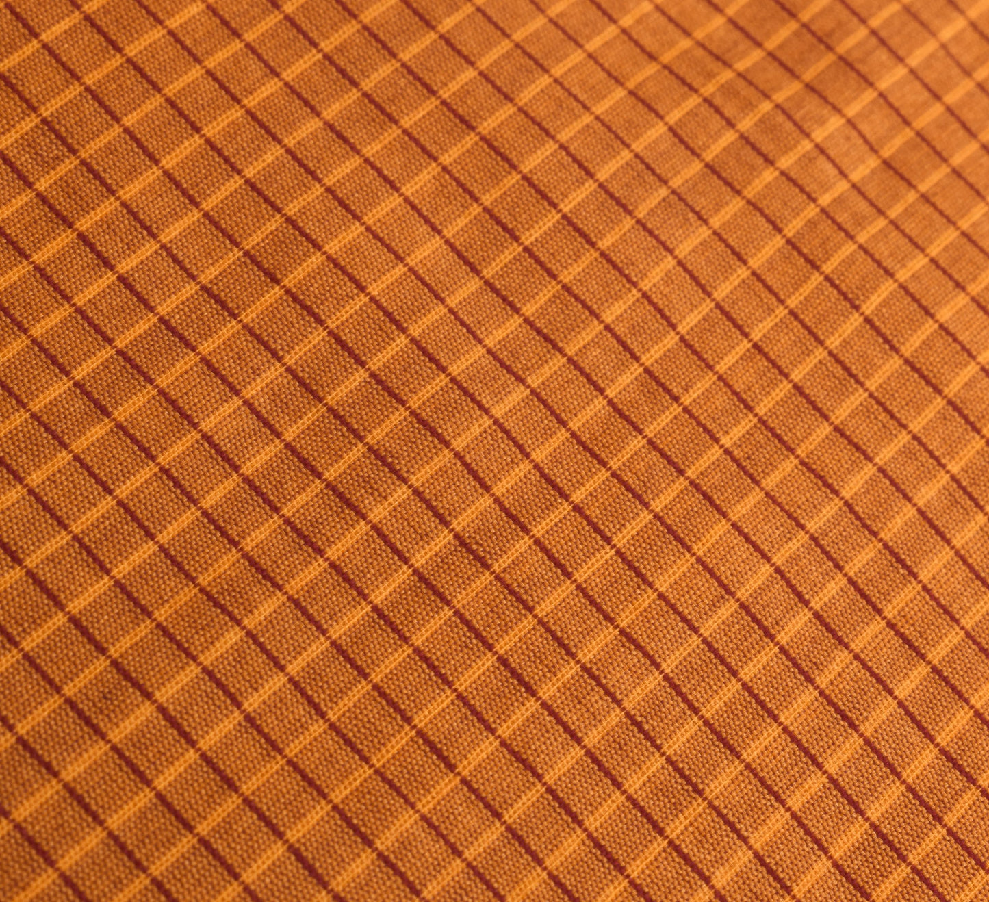 Sushila Vintage Rust Checks Saree Rudraksh Border Art Cotton Silk Woven Sari