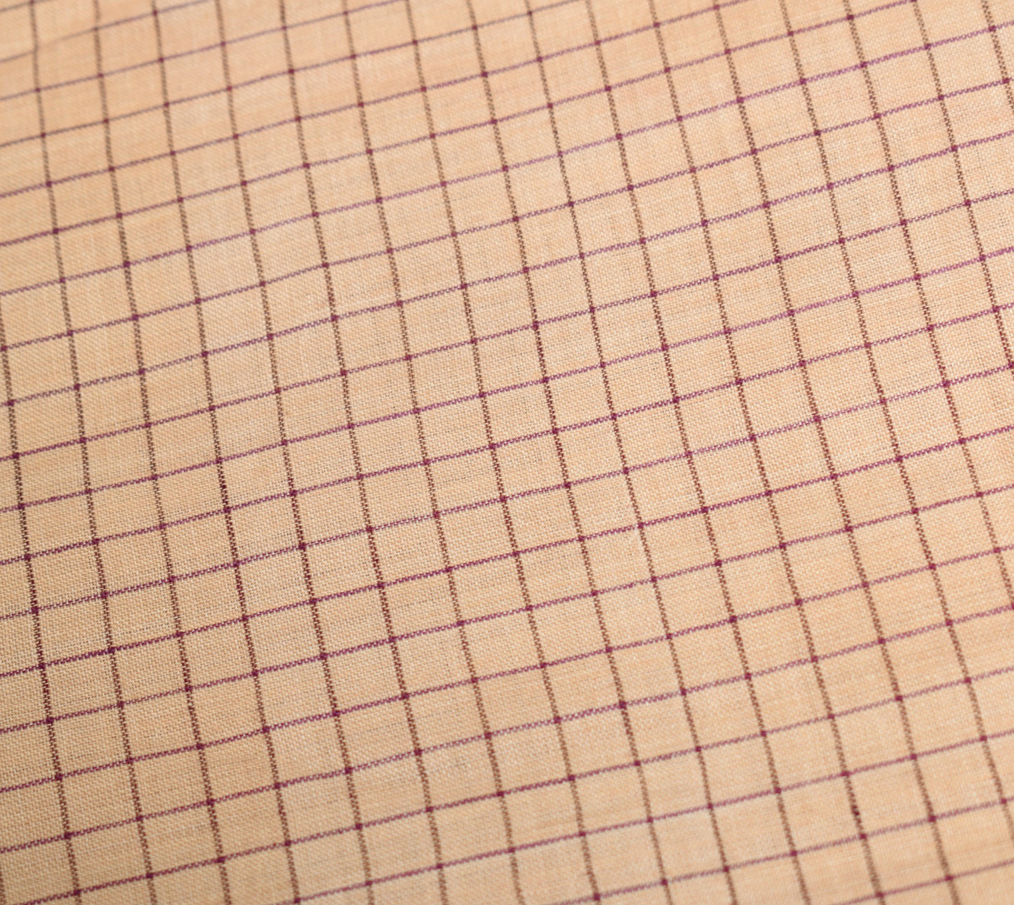 Sushila Vintage Cream Saree Pure Cotton Hand Woven Sambalpuri Ikat Patola Fabric