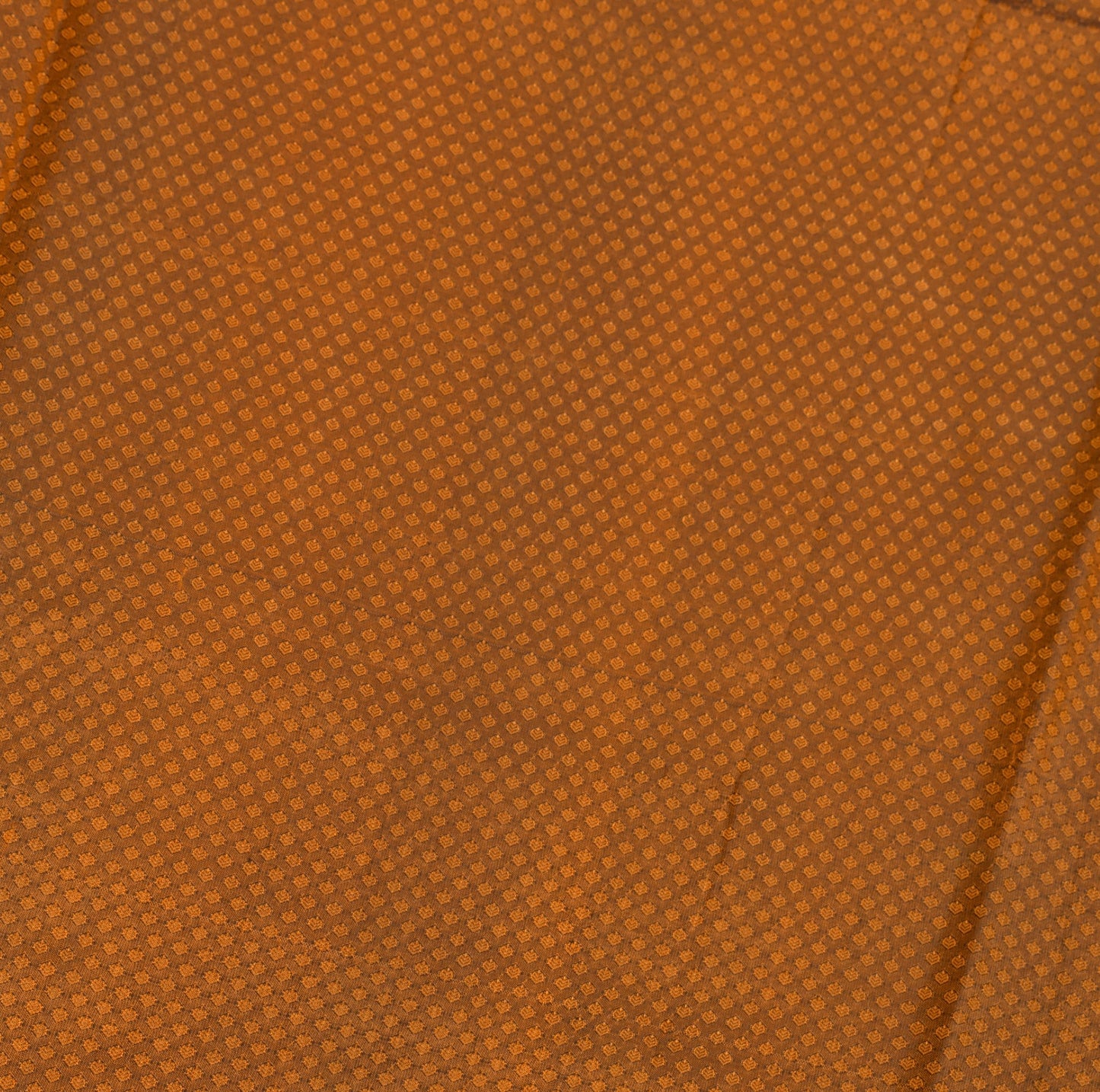Sushila Vintage Rust HEAVY Saree Pure Kanchipuram Silk Zari Woven 5YD Soft Sari