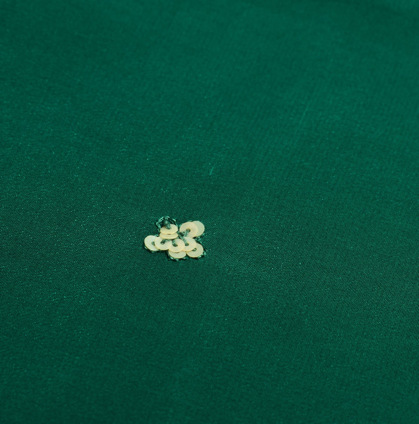 Sushila Vintage Green Sari Remnant Scrap Embroidery Pure Crepe Silk Craft Fabric