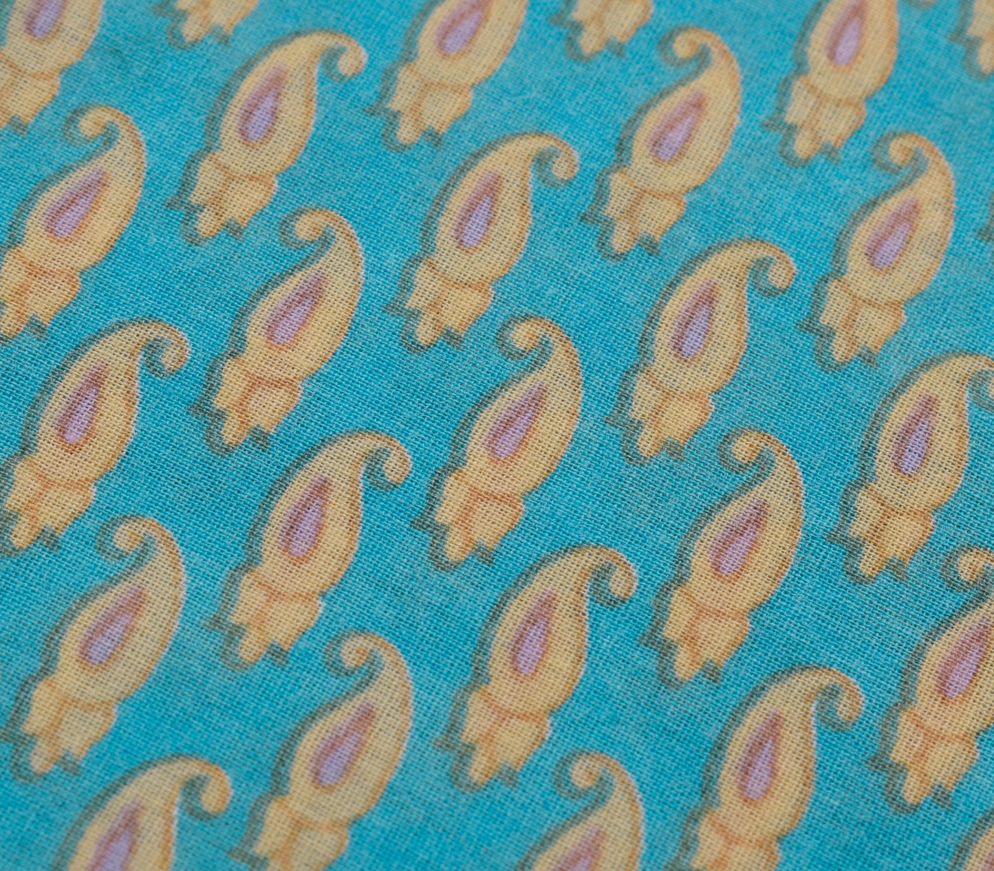 Sushila Vintage Aqua Blue Saree Pure Cotton Printed Paisley Soft Craft Fabric