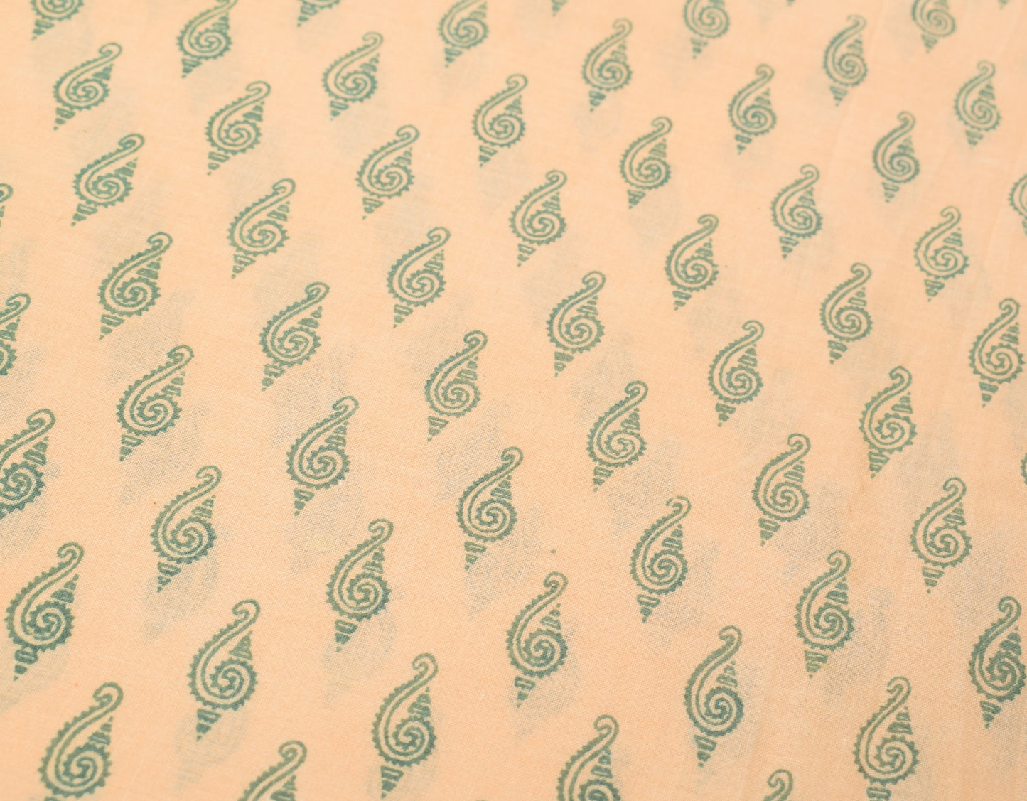 Sushila Vintage Beige Saree 100% Pure Cotton Woven & Printed Indian Craft Fabric