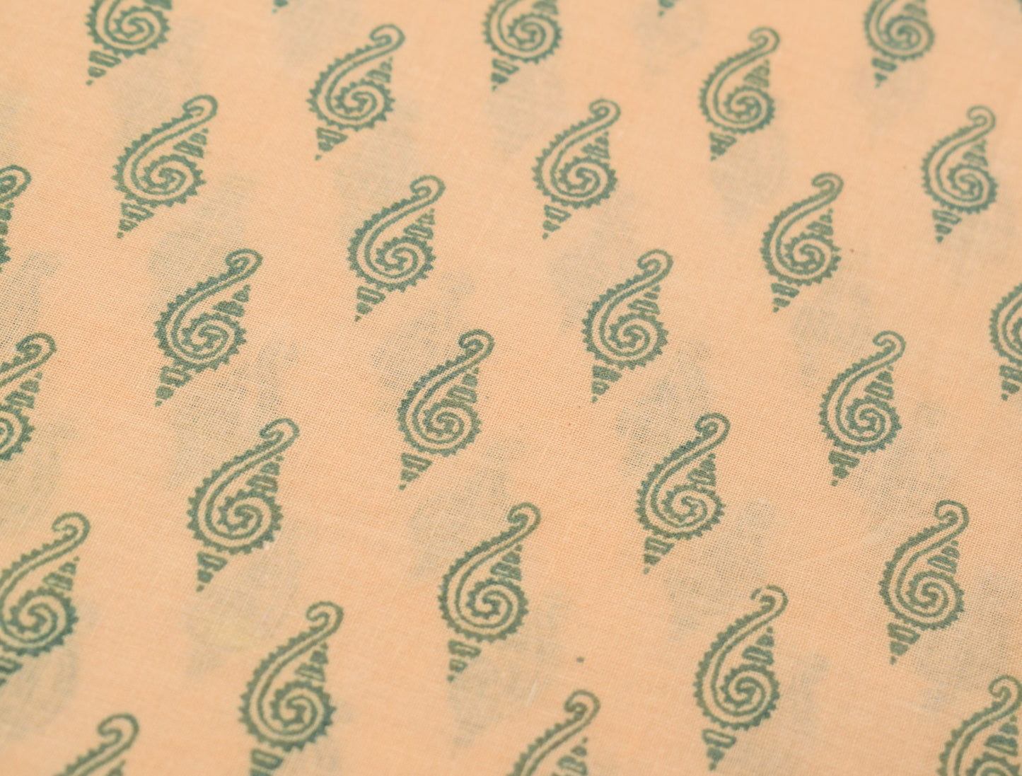 Sushila Vintage Beige Saree 100% Pure Cotton Woven & Printed Indian Craft Fabric