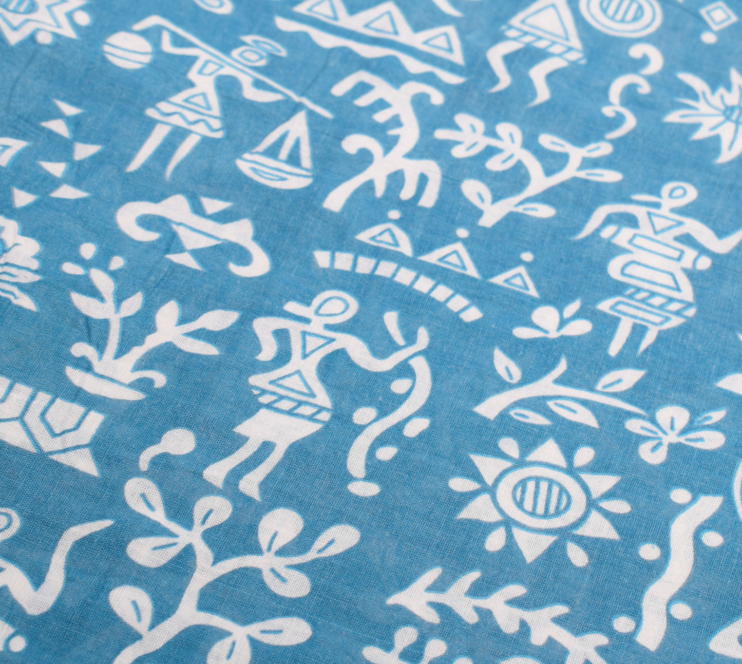 Sushila Vintage Sky Blue Saree  Pure Cotton Warli Printed Sari Soft Craft Fabric