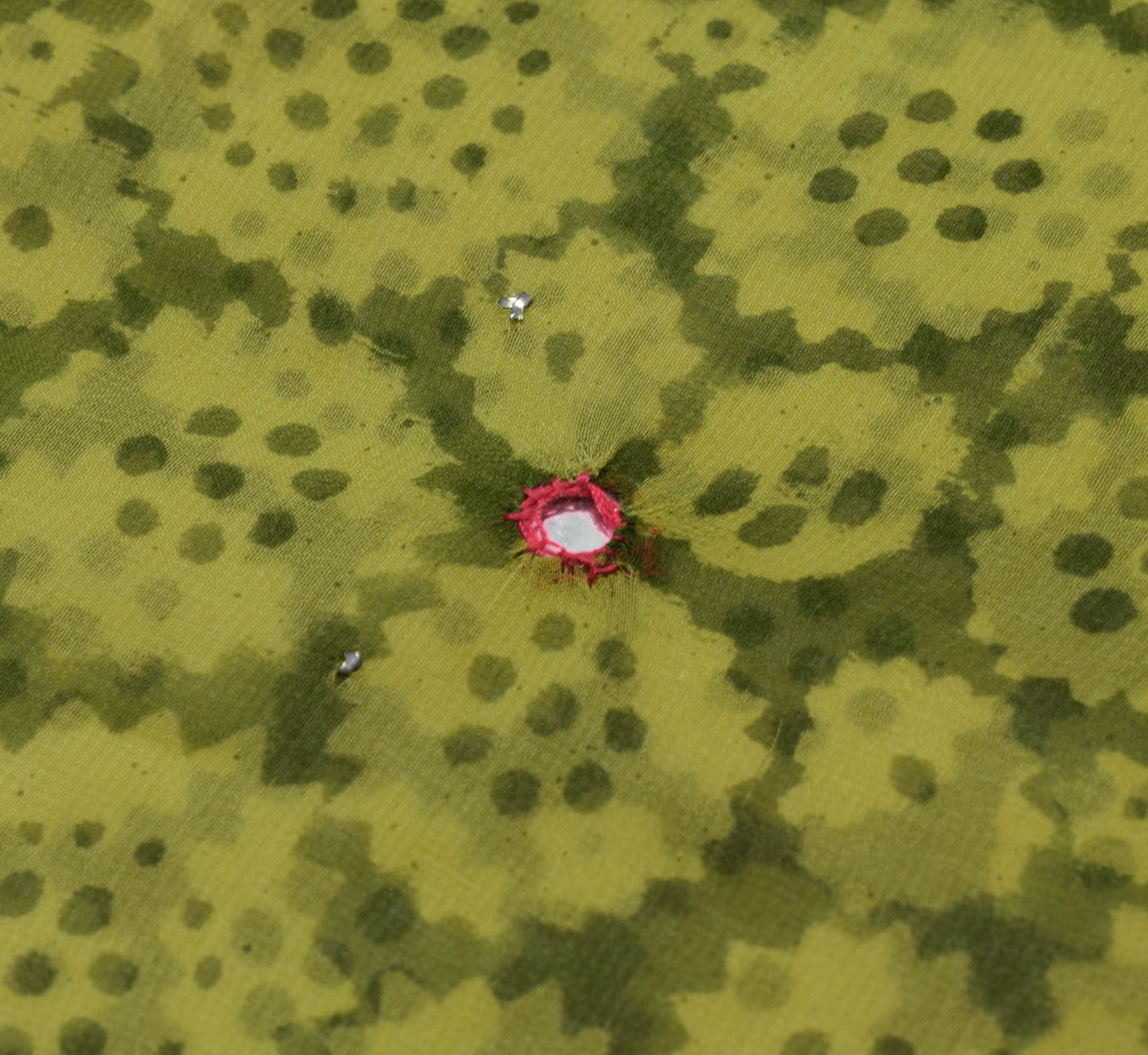 Sushila Vintage Green Floral Saree Pure Georgette Silk Hand Block Printed Fabric