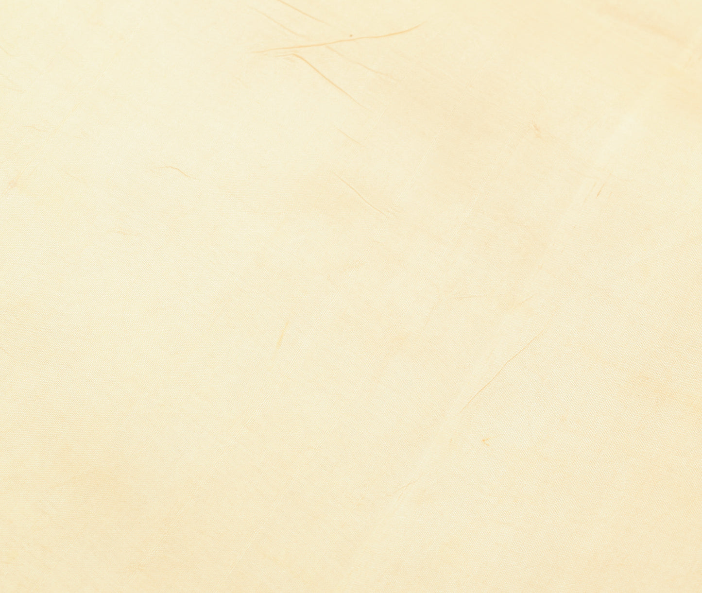 Sushila Vintage Cream Saree 100% Pure Silk Printed Floral Indian Craft Fabric