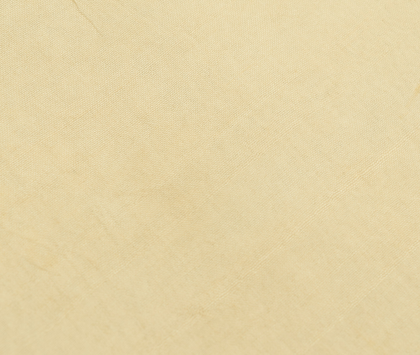 Sushila Vintage Cream Saree 100% Pure Silk Printed Floral Indian Craft Fabric