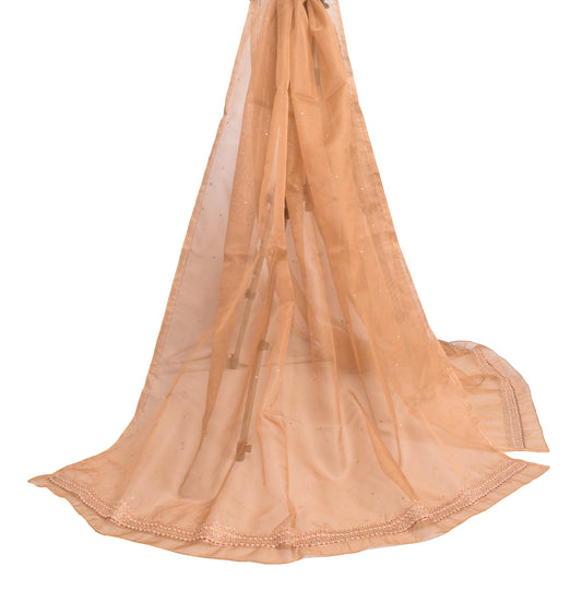 Sushila Vintage Brown Net Mesh Dupatta Hand Beaded Zardozi Classy Long Stole