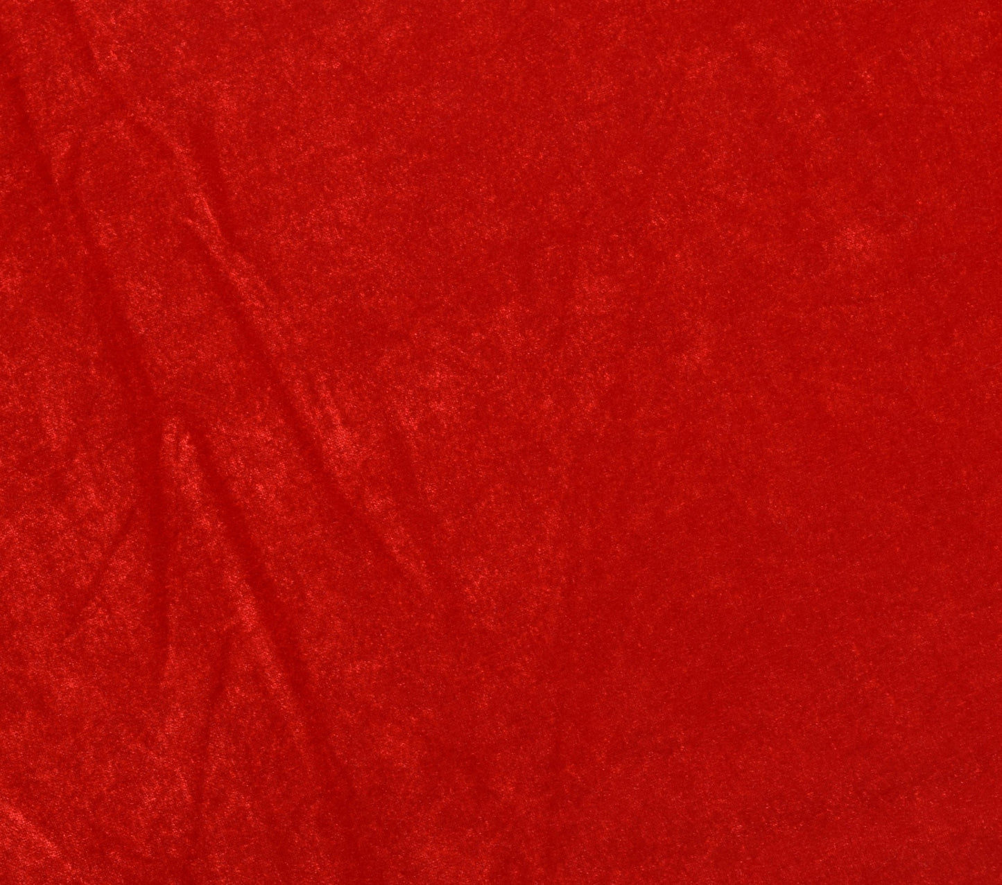 Sushila Vintage Red Velvet With Gold Zari Border Dupatta Bridal Wear Long Stole