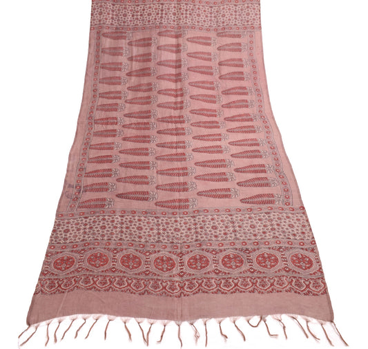 Sushila Vintage Mauve Bagh Print Dupatta 100% Pure Silk Handmade Long Stole Veil
