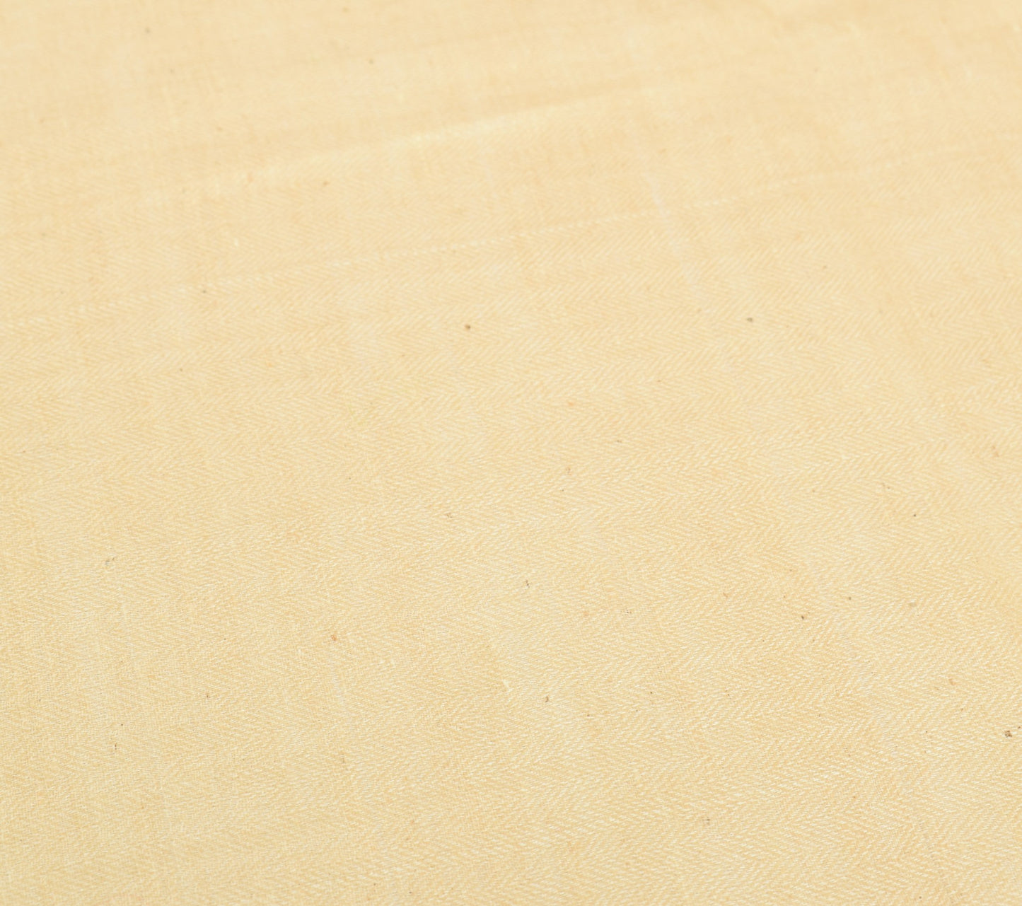 Sushila Vintage Cream Pure Woolen Dupatta Hand Block Printed Indian Long Stole