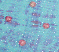 Sushila Vintage Blue Tie-Dye Dupatta Pure Georgette Sequins Zari Work Long Stole