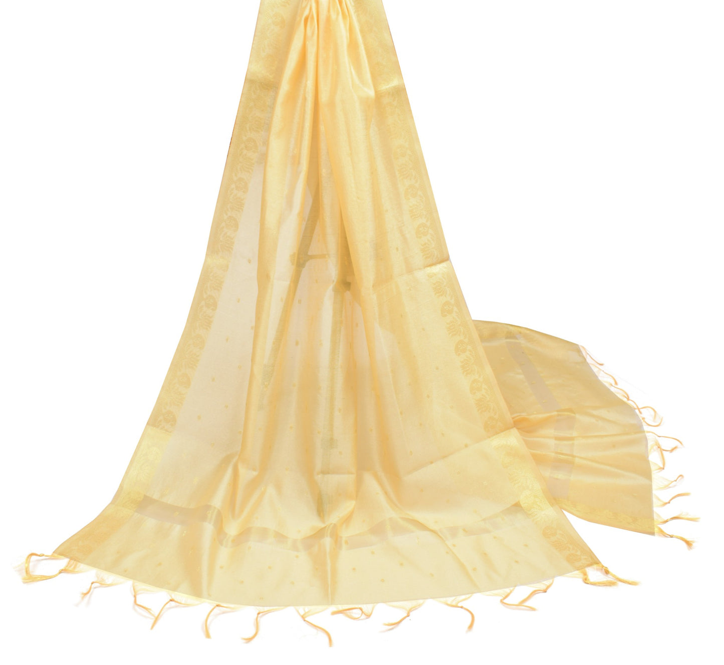 Sushila Vintage Beige Banarasi Dupatta Indian Art Silk Woven Zari Long Stole