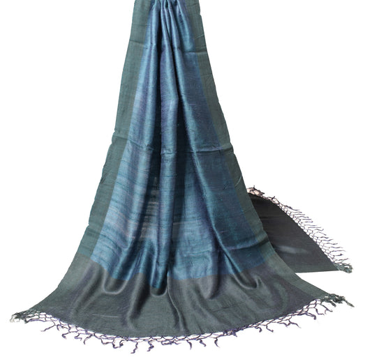 Sushila Vintage Blue Dual Toned Dupatta Pure Woolen Woven Soft Plain Long Stole