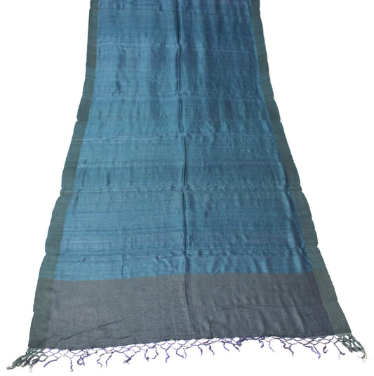 Sushila Vintage Blue Dual Toned Dupatta Pure Woolen Woven Soft Plain Long Stole