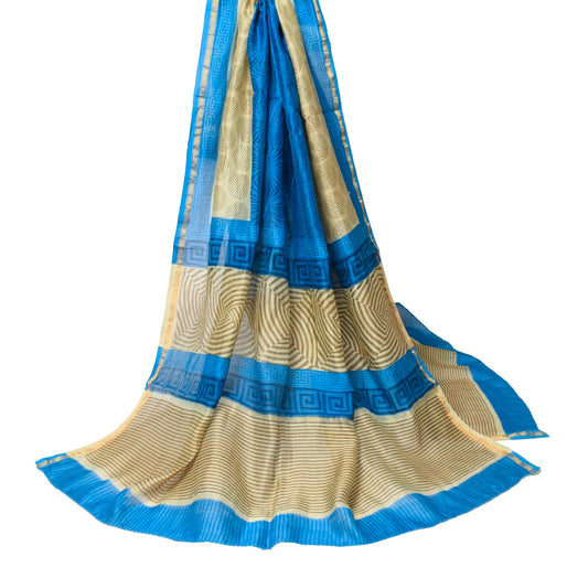 Sushila Vintage Blue Brown Dupatta Pure Cotton Silk Hand Block Print Long Stole