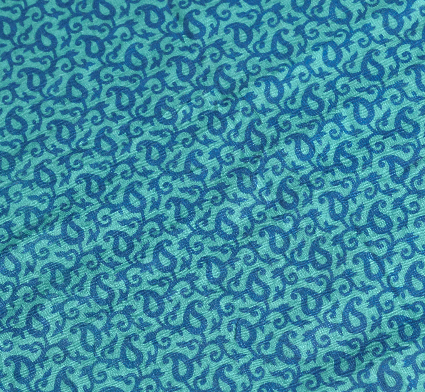 Sushila Vintage Pure Woolen Dupatta Aqua Green Paisley Printed Soft Long Stole