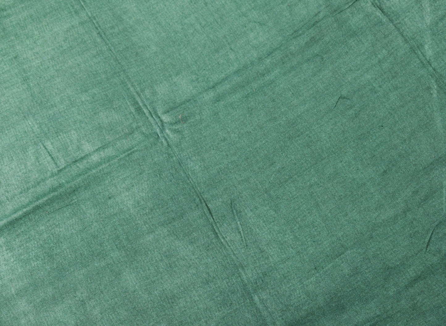 Sushila Vintage Pure Woolen Dupatta Teal Green Hand Block Printed Warm LongStole