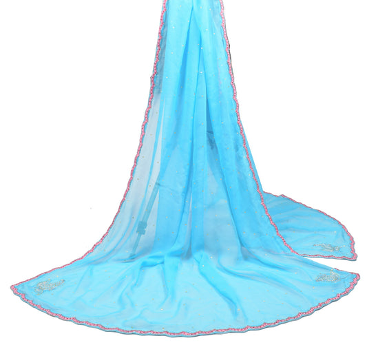 Sushila Vintage Aqua Blue Dupatta Cutwork Embroidered Pure Georgette Long Stole