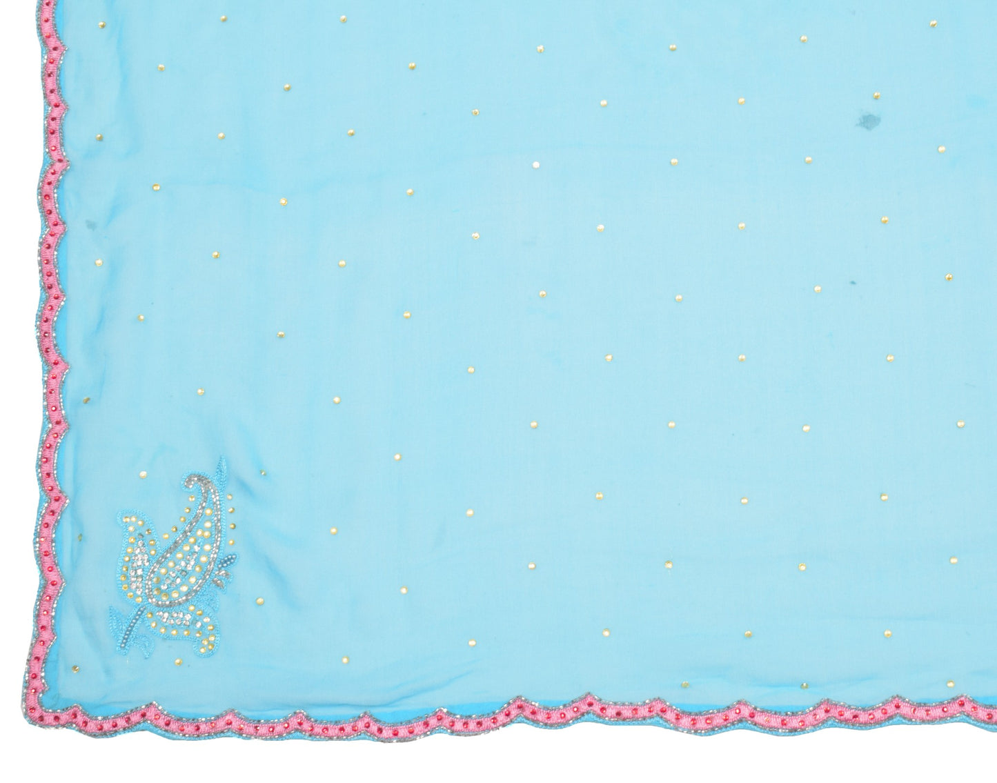 Sushila Vintage Aqua Blue Dupatta Cutwork Embroidered Pure Georgette Long Stole