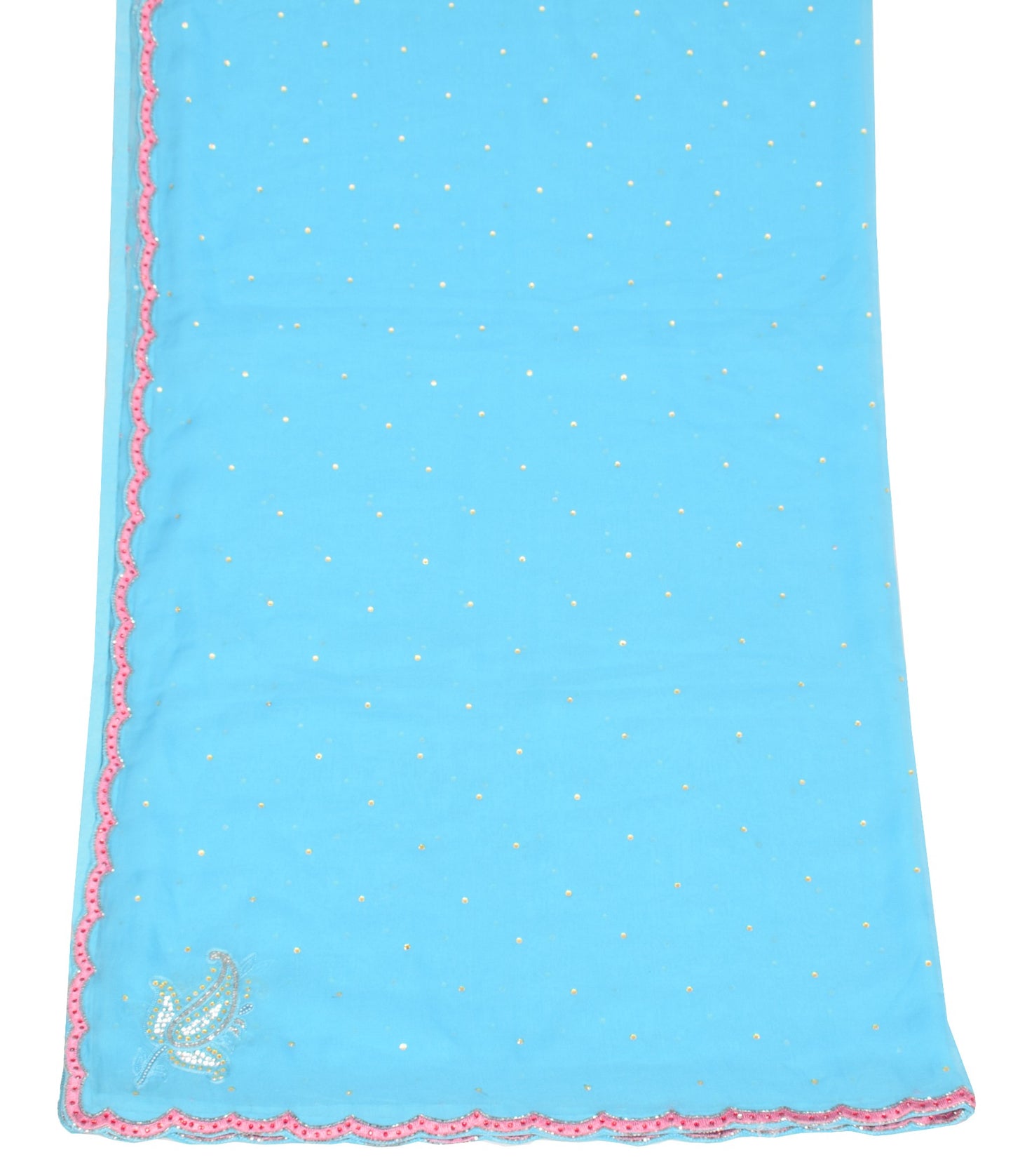 Sushila Vintage Aqua Blue Dupatta Cutwork Embroidered Pure Georgette Long Stole