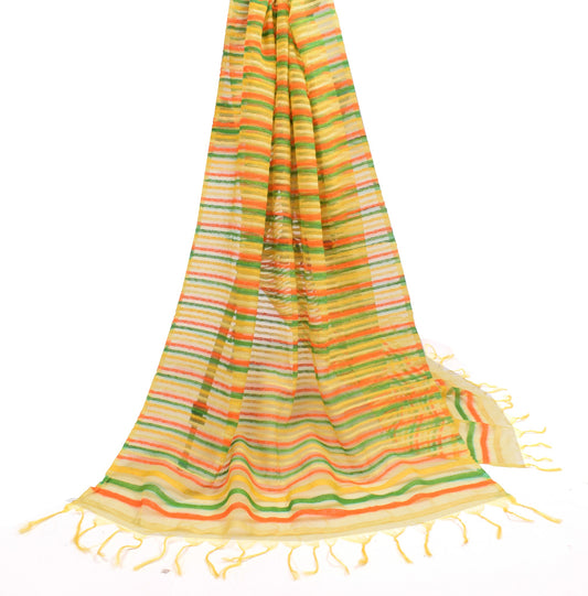 Sushila Vintage Multi-Color Handloom Dupatta Art Organza Woven Stripe Long Stole