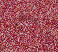 Sushila Vintage Indian Scrap Saree 100% Pure Silk Printed Floral Sari Fabric