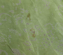 Sushila Vintage Green Scrap Saree 100% Pure Silk Printed 5 Yard Sari Fabric