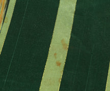 Sushila Vintage Indian Green Saree Blend Cotton Woven Sari 5 Yard Craft Fabric
