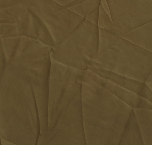 Sushila Vintage Brown Indian Sari Remnant Scrap Pure Georgette Silk Craft Fabric