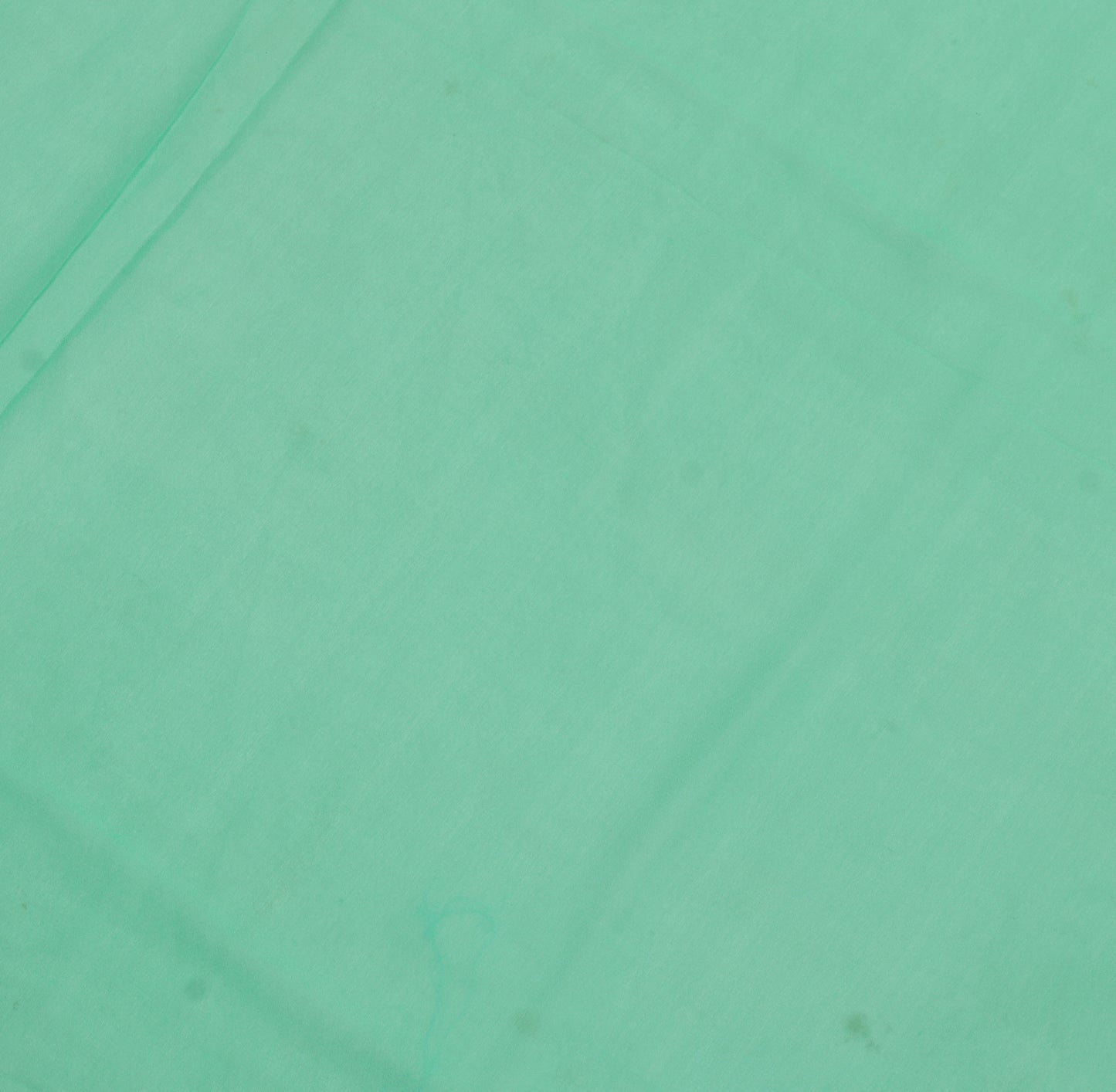 Sushila Vintage Aqua Green Sari Remnant Scrap Pure Georgette Silk Craft Fabric