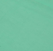 Sushila Vintage Aqua Green Sari Remnant Scrap Pure Georgette Silk Craft Fabric