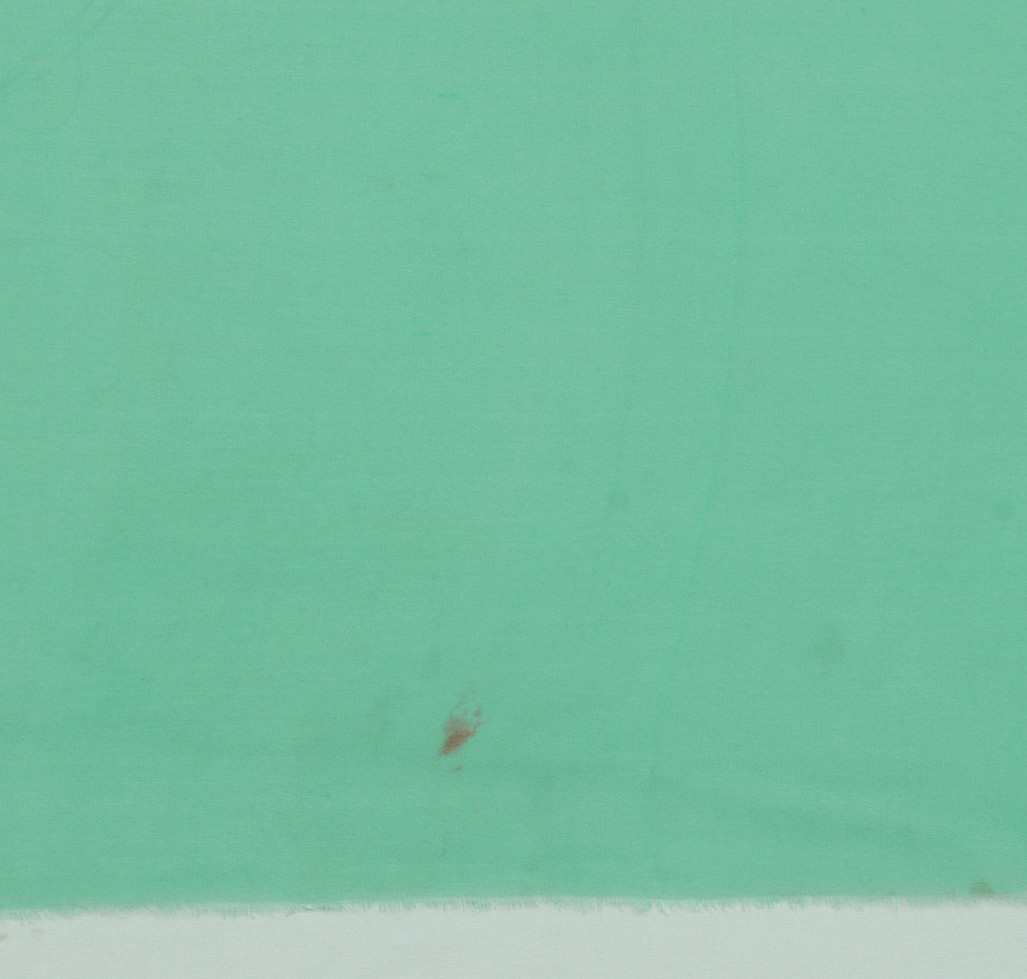 Sushila Vintage Aqua Green Sari Remnant Scrap Pure Georgette Silk Craft Fabric