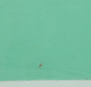 Sushila Vintage Aqua Green Sari Remnant Scrap Pure Georgette Silk Craft Fabric