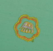 Sushila Vintage Green Sari Remnant Scrap Blend Georgette Embroidered Fabric