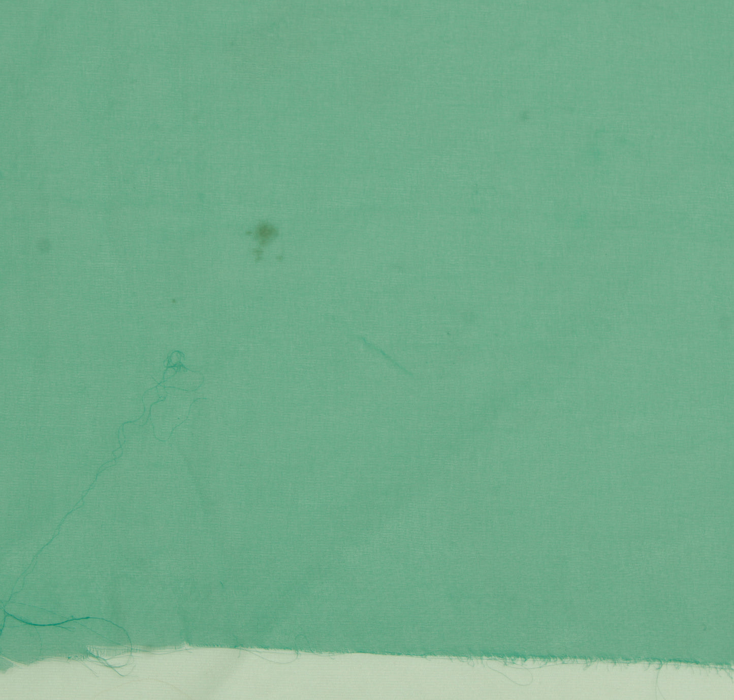 Sushila Vintage Green Sari Remnant Scrap Blend Georgette Embroidered Fabric