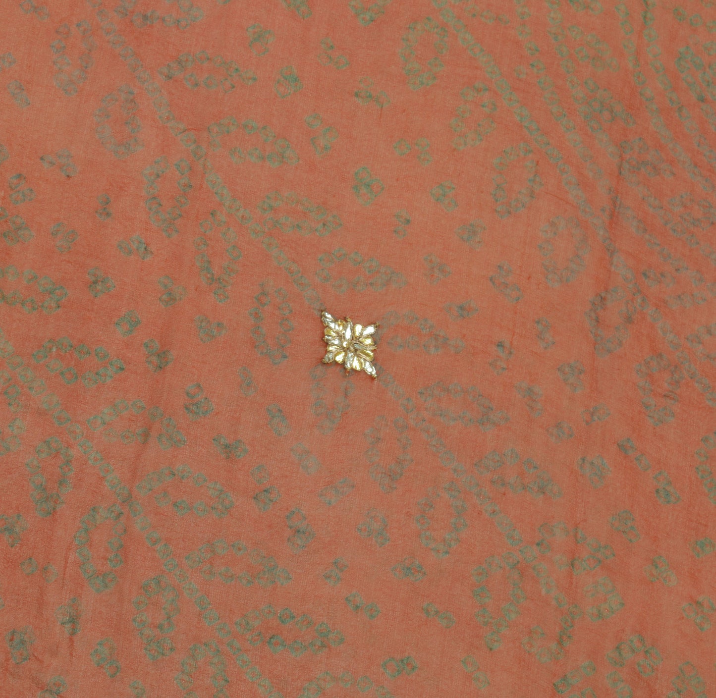 Sushila Vintage Rust Sari Remnant Scrap Pure Georgette Silk Printed Craft Fabric