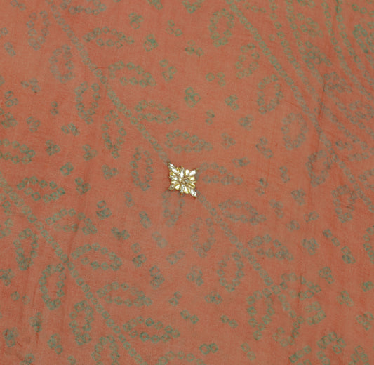 Sushila Vintage Rust Sari Remnant Scrap Pure Georgette Silk Printed Craft Fabric