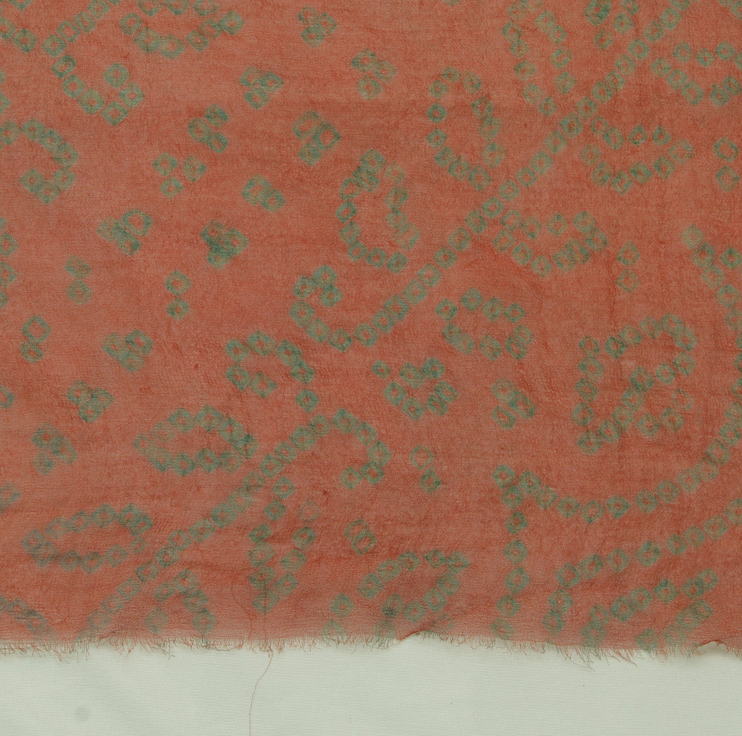 Sushila Vintage Rust Sari Remnant Scrap Pure Georgette Silk Printed Craft Fabric