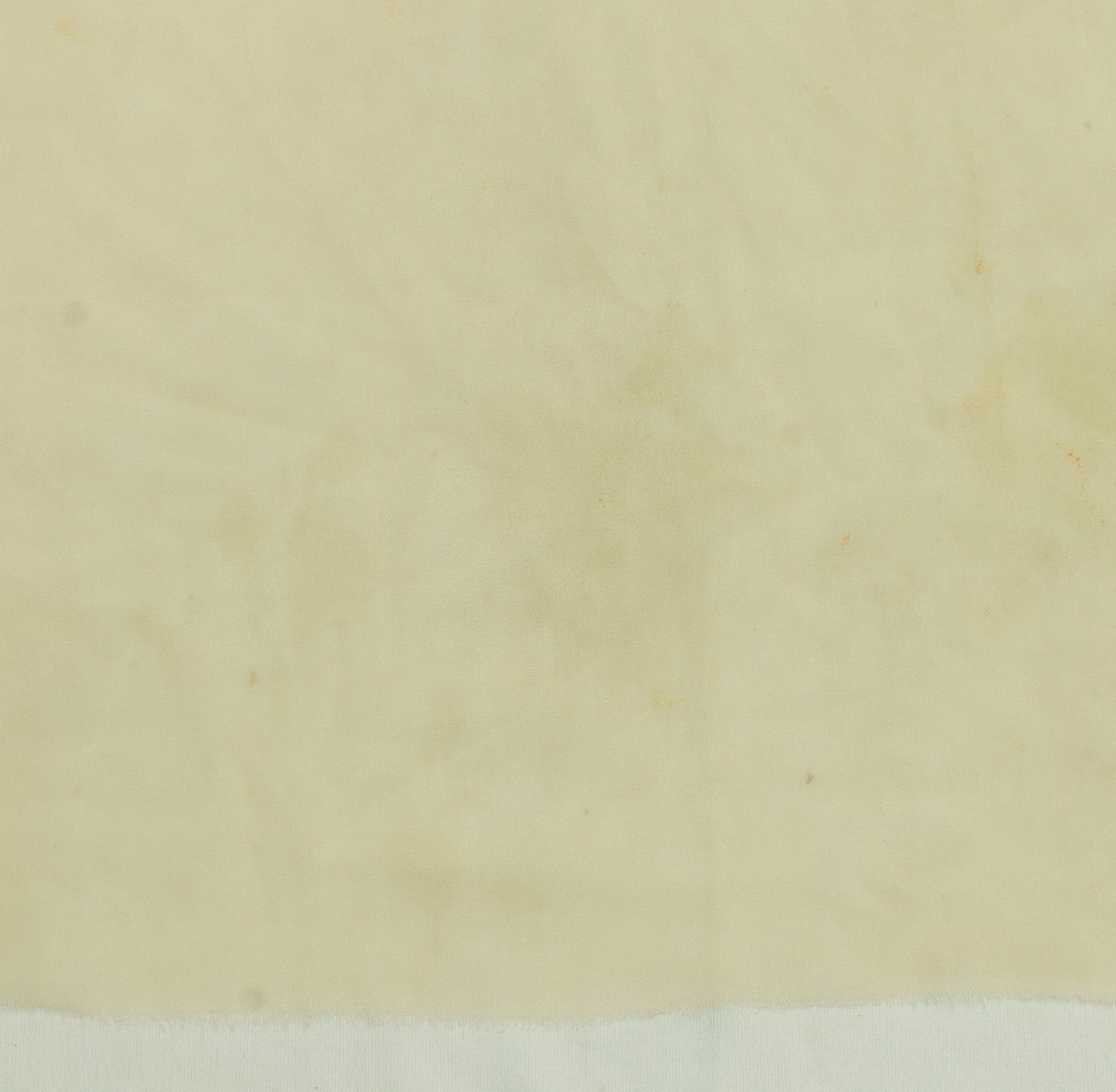 Sushila Vintage Beige Sari Remnant Scrap  Georgette Embroidered Craft Fabric
