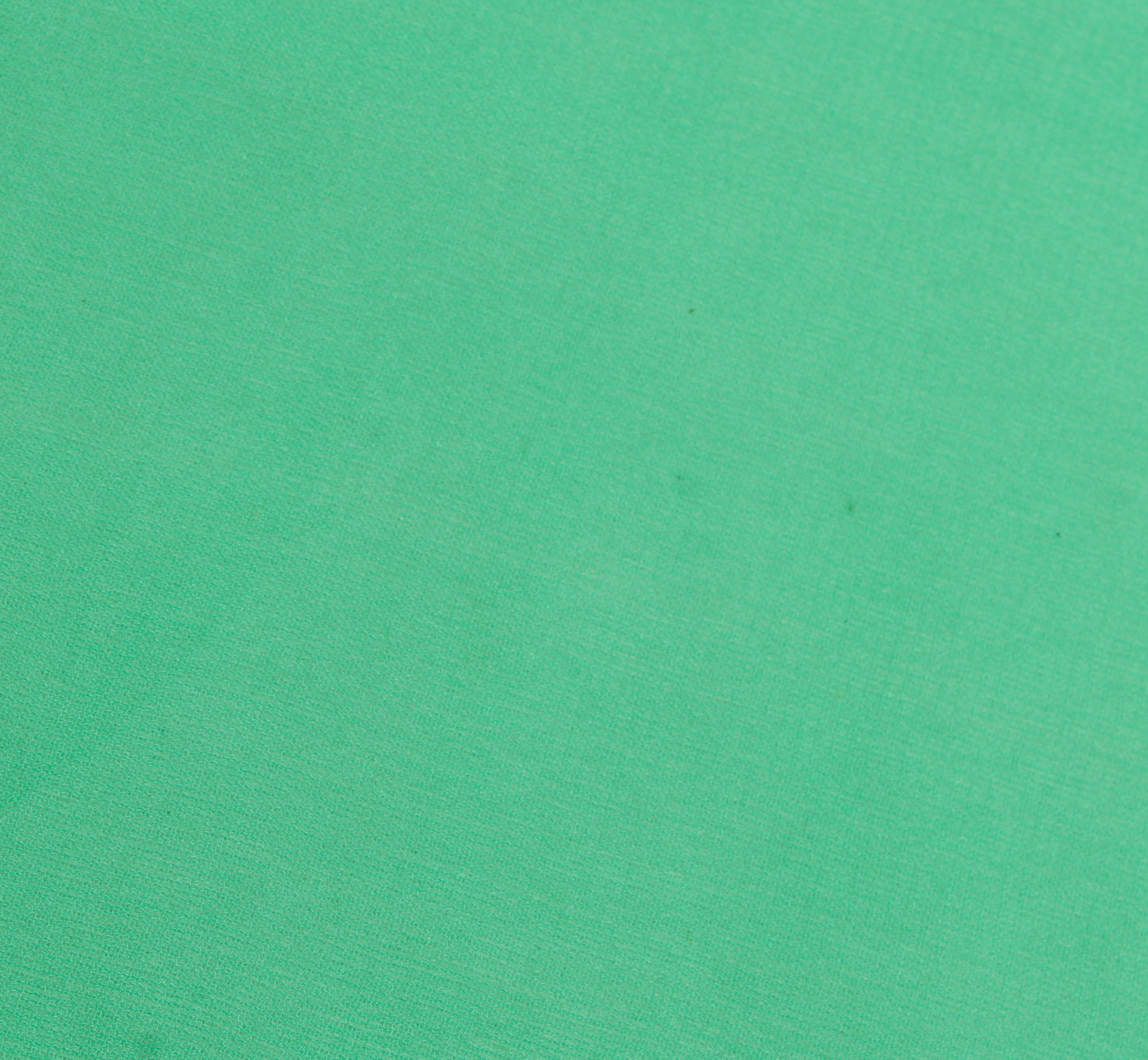 Sushila Vintage Green Indian Sari Remnant Scrap Pure Georgette Silk Craft Fabric